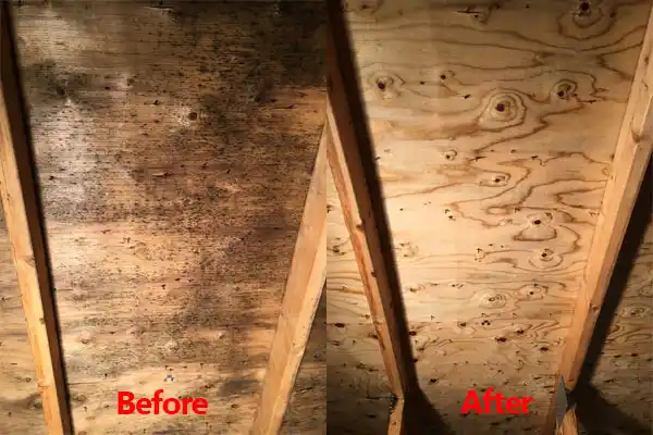 water damage restoration service Dassel